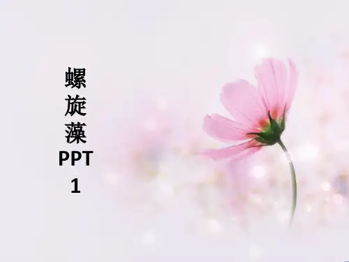 螺旋藻1ppt课件