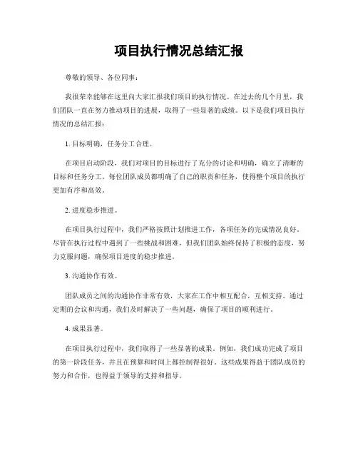 项目执行情况总结汇报