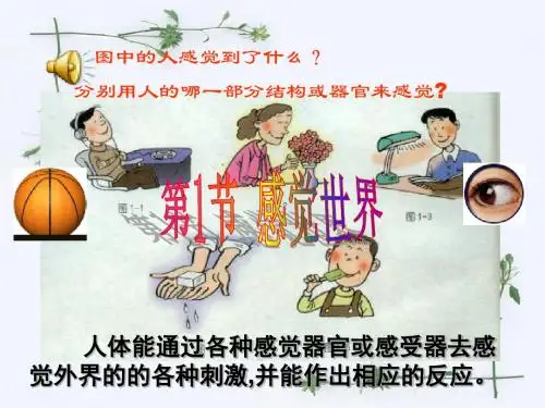 [八年级科学]kx浙江省温岭市城南中学七年级科学下册《1.1 感觉世界》课件(浙教版)