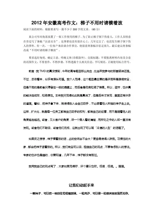 2012年安徽高考作文梯子不用时请横着放范文