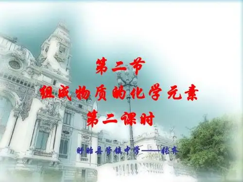 第二节 组成物质的化学元素(课时2)