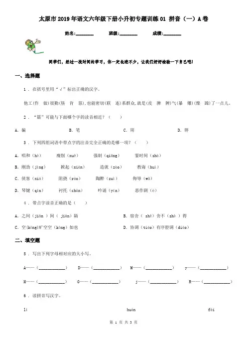 太原市2019年语文六年级下册小升初专题训练01 拼音(一)A卷