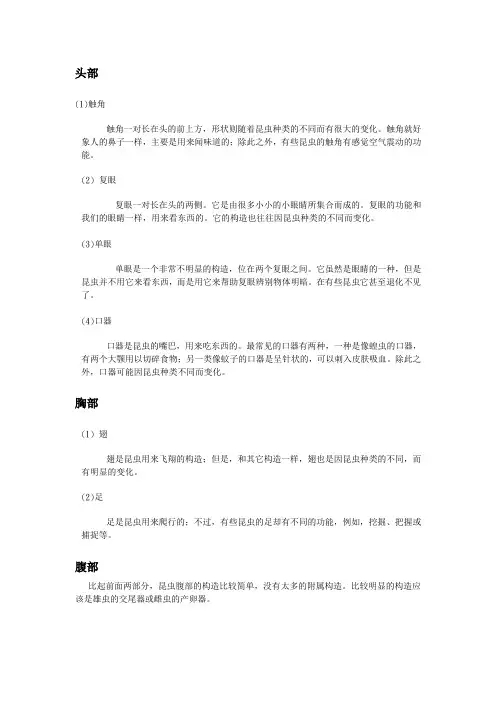 昆虫的特征和身体构造