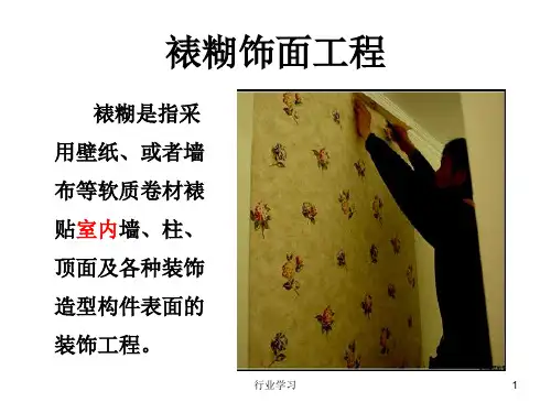 裱糊与软包(高级教育)