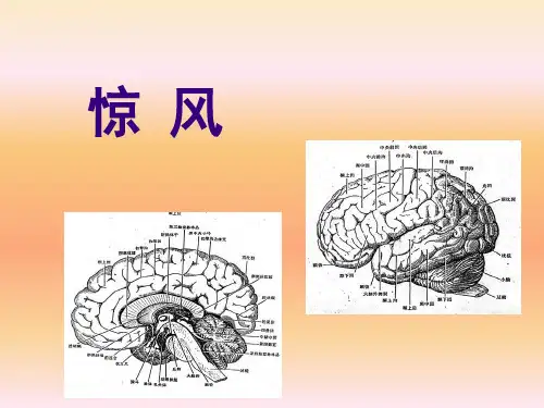 小儿疾病-惊风2