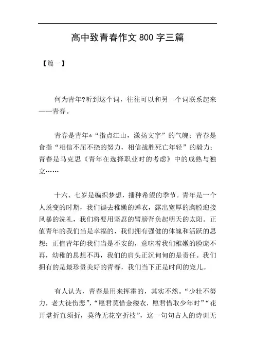 高中致青春作文800字三篇