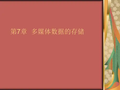 第7章 多媒体数据的存储