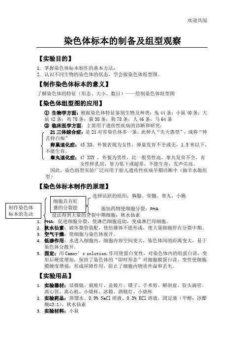 染色体标本的制作及组型观察