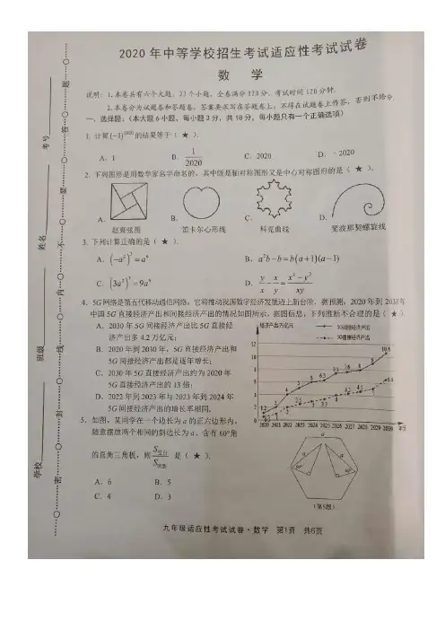 江西省赣州市2020年中等学校招生考试适应性考试数学 试卷含答案