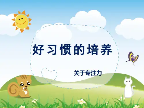 习惯 关于专注力