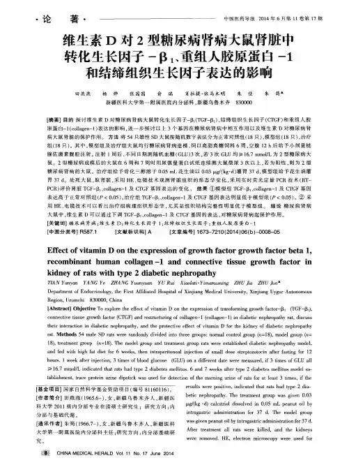 维生素D对2型糖尿病肾病大鼠肾脏中转化生长因子-β1、重组人胶原蛋