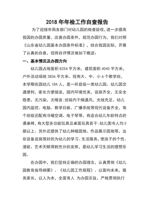 2018年检自查报告