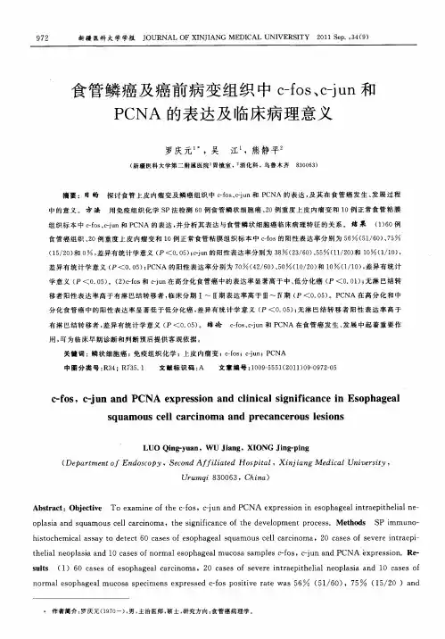 食管鳞癌及癌前病变组织中c-fos、c-jun和PCNA的表达及临床病理意义