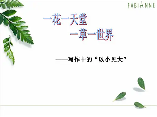 写作中的“以小见大”--作文指导公开课