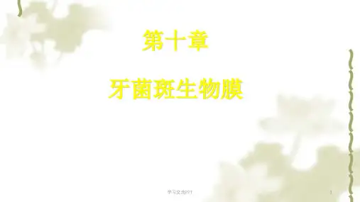 牙菌斑生物膜课件