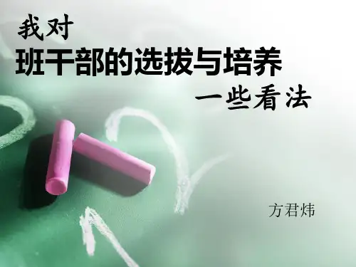 对班干部培养的一些想法