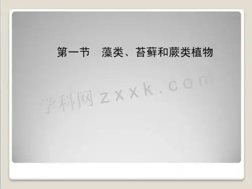 七年级生物上册 第三单元 第一章 第一节《藻类、苔藓和蕨类植物》课件 新人教版