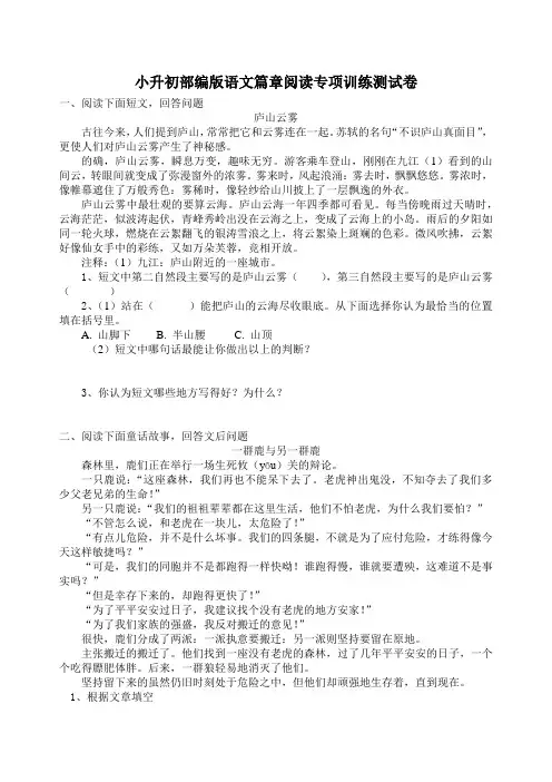 小升初部编版语文篇章阅读专项训练测试卷