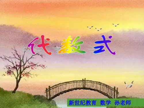 代数式(复习整理)