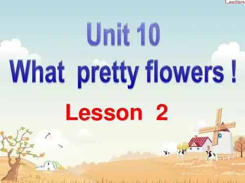 新概念英语Starter B Unit 10 What pretty flowers Lesson 2