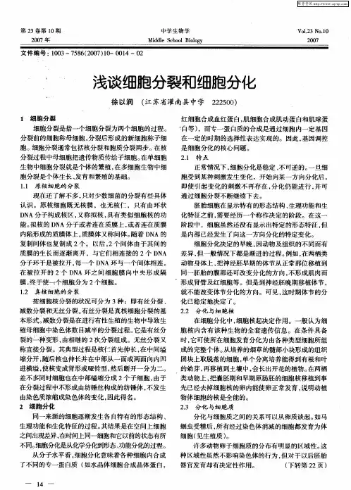 浅谈细胞分裂和细胞分化