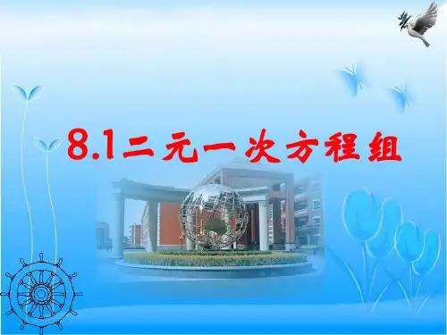 二元一次方程组概念 课件