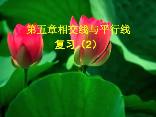 人教版七年级数学下册第五章《相交线与平行线复习(2)》优质课课件