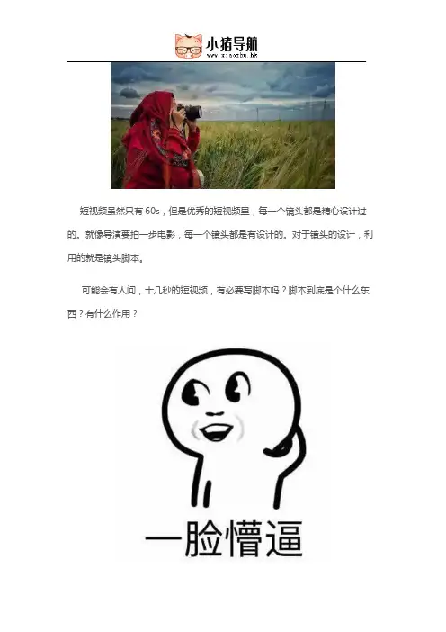 短视频脚本怎么写？这些脚本模板,直接套用就能火