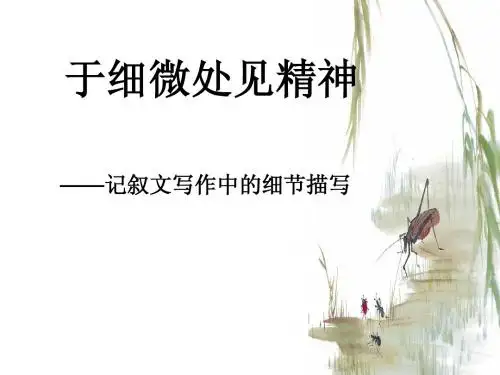 初中作文写作中的细节描写