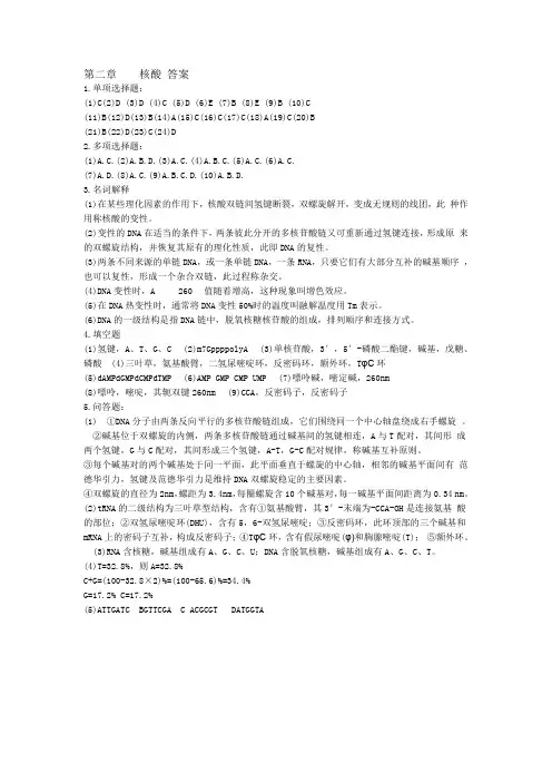 生物化学—— 核酸 答案