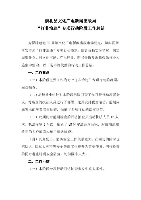 专项行动阶段工作总结