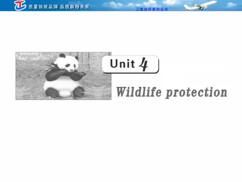 第一部分 必修二 Unit4   Wildlife protection