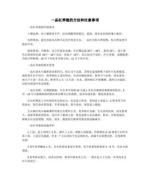 一品红养殖的方法和注意事项