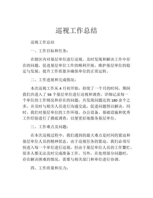 巡视工作总结