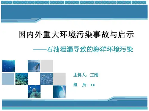 国内外重大环境污染事件之海洋溢油概要