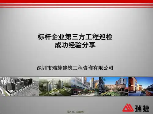 标杆企业第三方工程巡检的成功经验分享共39页文档