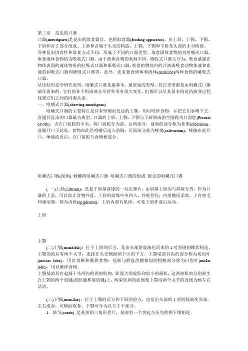 昆虫学讲义(三)