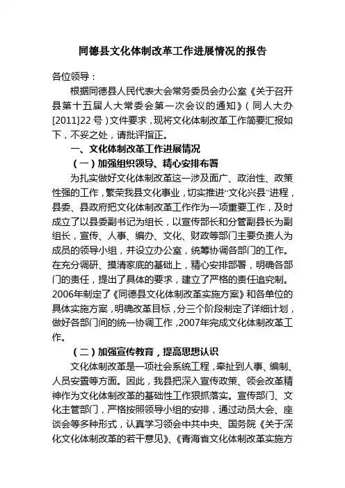 关于文化体制工作进展情况的报告