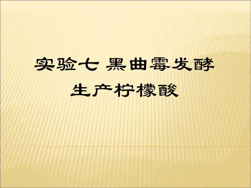 7 黑曲霉发酵柠檬酸