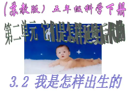 3.3我是怎样出生的