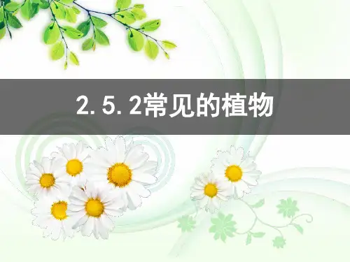 常见的植物剖析