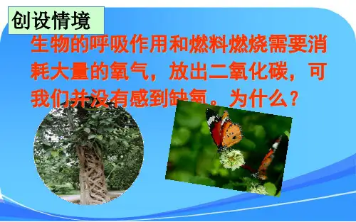 《光合作用吸收二氧化碳释放氧气》课件