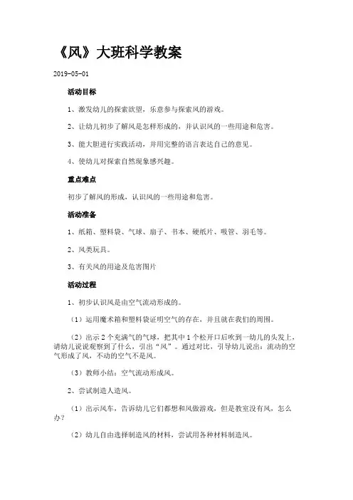 《风》大班科学教案.