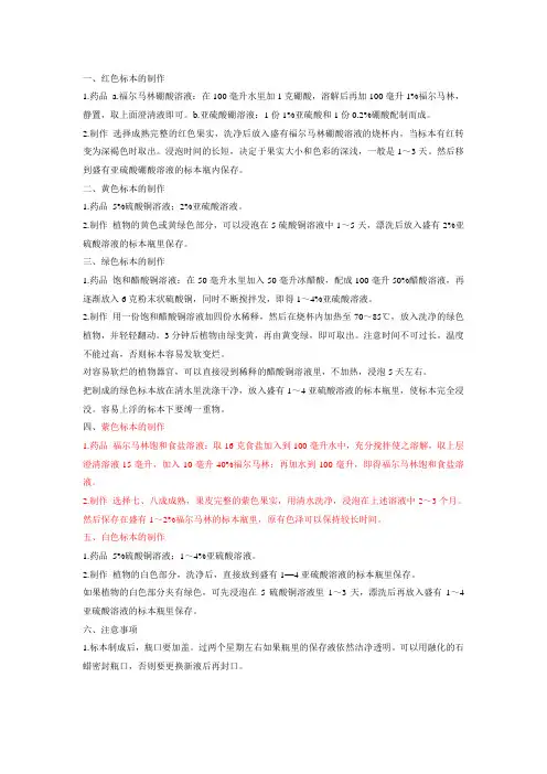 标本制作