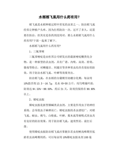 水稻稻飞虱用什么药有用？