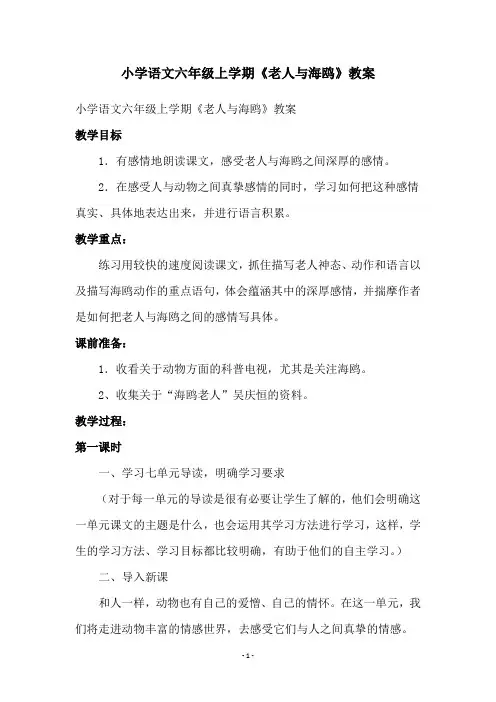 小学语文六年级上学期《老人与海鸥》教案