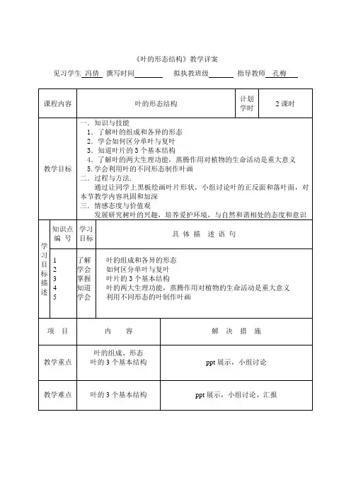 叶的形态结构