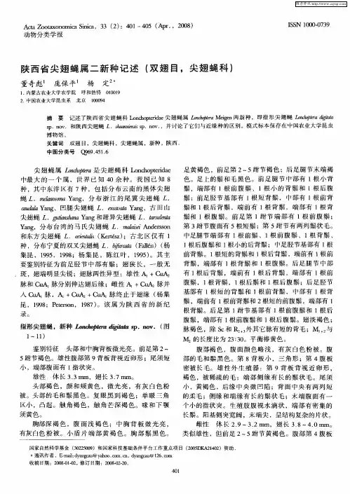陕西省尖翅蝇属二新种记述(双翅目,尖翅蝇科)