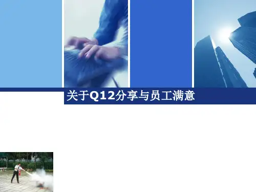 Q12满意度调查经验分享