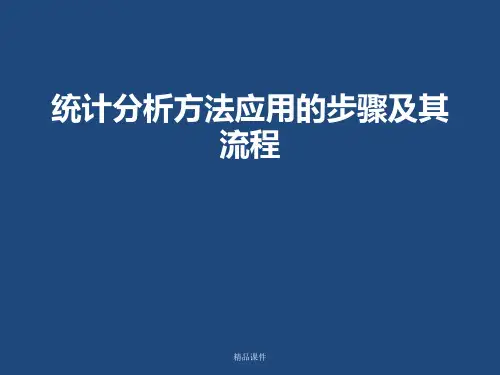 统计分析的步骤及其流程